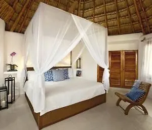 https://las-palapas-riviera-maya.allrivieramayahotels.com