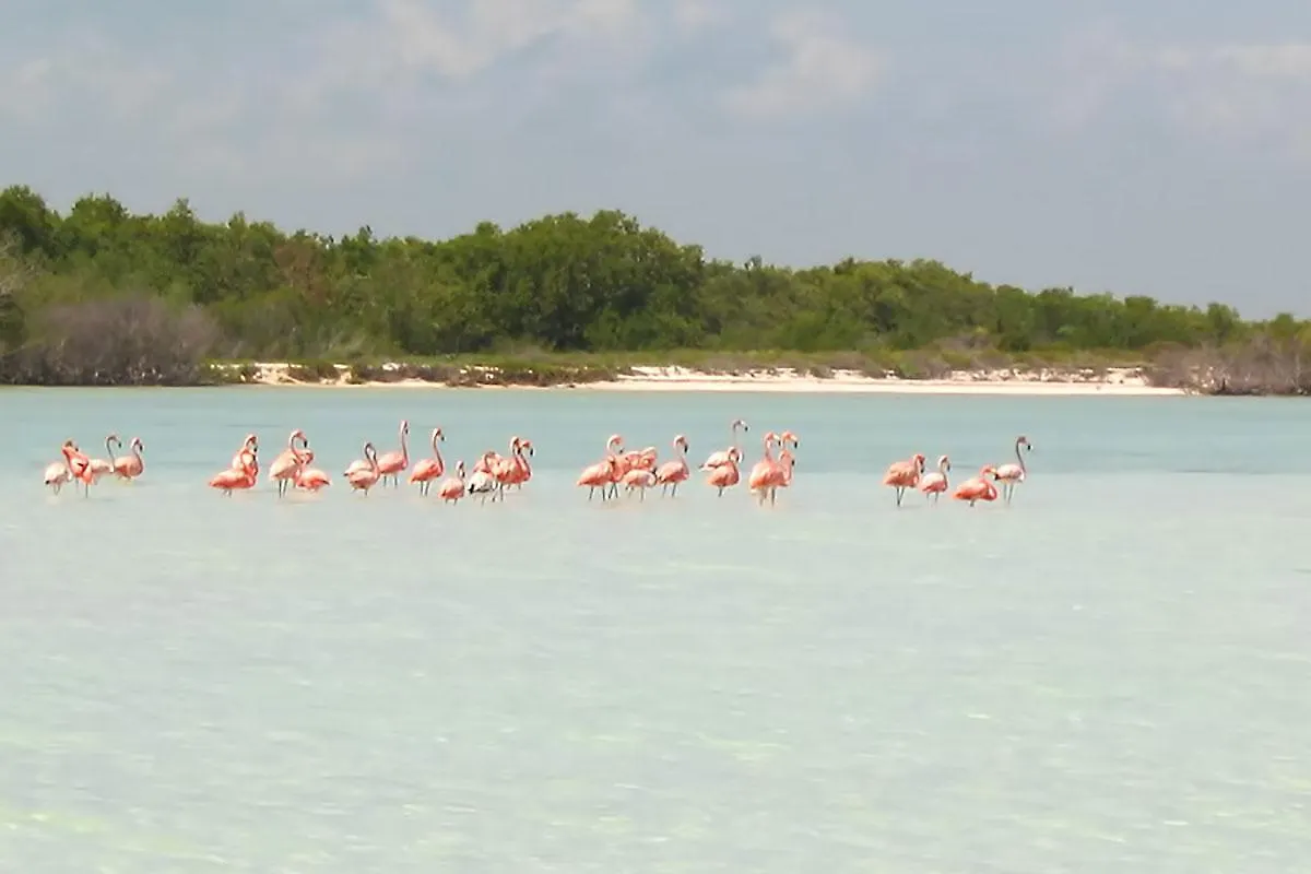 Beachfront Hotel La Palapa - Adults Only Isla Holbox 3*,