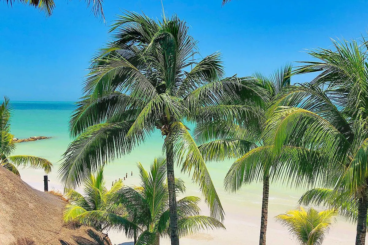 Beachfront Hotel La Palapa - Adults Only Isla Holbox